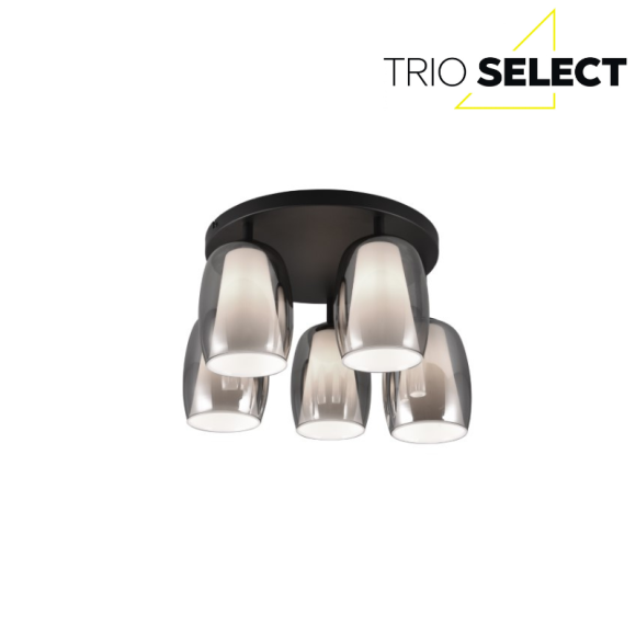 Trio SELECT  T617500554 mennyezetre szerelhető lámpa BARRET   E14