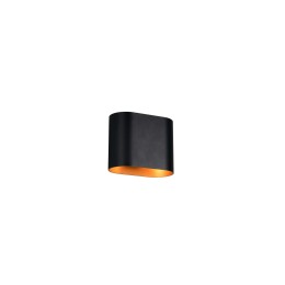 Trio T266100180 kültéri fali lámpa ALANI  | 5W G9