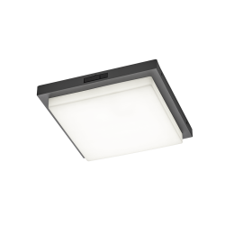 Trio T630369242 LED mennyezetre szerelhető lámpa BERMEJO  | 14W integrált LED forrás | 1x1450lm | 23