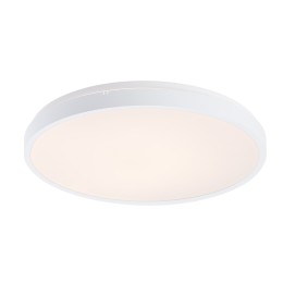 Rabalux 98071430 LED kültéri mennyezeti lámpa Alenzo  | 36W integrált LED forrás | 2450lm | 3000-600