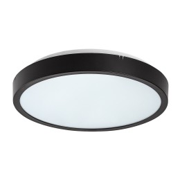 Rabalux 98071435 LED kültéri mennyezeti lámpa Alenzo  | 12W integrált LED forrás | 780lm | 3000+4000