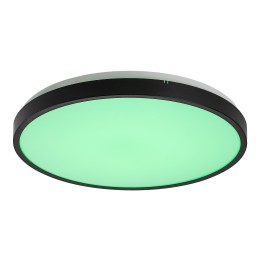 Rabalux 98071441 LED kültéri mennyezeti lámpa Alenzo  | 36W integrált LED forrás | 2380lm | 3000-600