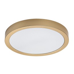 Rabalux 75079 LED kültéri mennyezeti lámpa ShaunPlus | 30W integrált LED forrás | 3000lm | 4000K