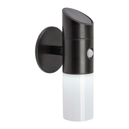 Rabalux 98077030 LED napelemes kültéri fali lámpa Lutto | 1W integrált LED forrás | 65lm | 6500K
