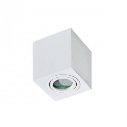 Azzardo AZ2822 mennyezeti spotlámpa Brant Square 1x50W | GU10 | IP44