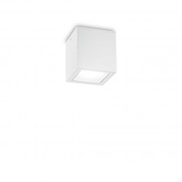 Ideal Lux 251561 mennyezetre szerelhető lámpa Techo small 1x20W | GU10 | IP54