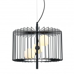 Italux MDM-3937/3 BK Daren | 25W G9