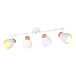 Trio TR81924031 mennyezeti spotlámpa VALENTIN E14