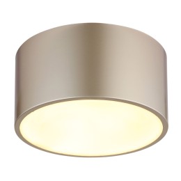 Globo RAYMOND 56964G LED mennyezeti lámpák | 12W LED | 900lm | 3000K