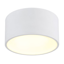 Globo RAYMOND 56964W LED mennyezeti lámpák | 12W LED | 900lm | 3000K