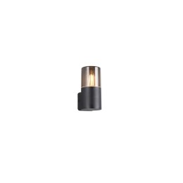 Trio T224060132 kültéri fali lámpa HOOSIC E27