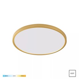 Zuma Line 003064-026392 LED mennyezeti lámpák CAMI integrált LED forrás